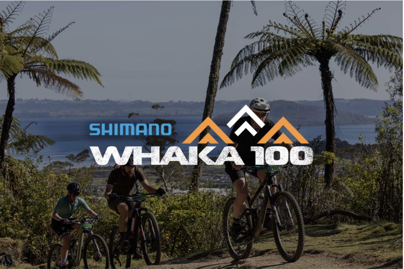 Screenshot 2024-01-23 at 2.46.25 PM